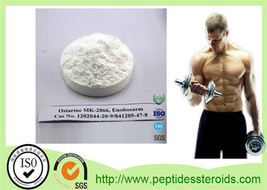 Steroide standard di Ostarine Mk-2866 SARM della polvere degli steroidi di USP SARMs per culturismo di forma fisica