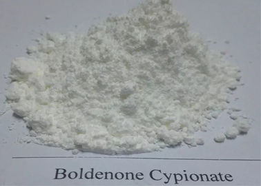 Steroide crudo di Boldenone della polvere di culturismo bianco/Boldenone Cypionate CAS 106505-90-2 per la costruzione del muscolo