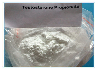 Steroide dell'iniezione di Propinoate della prova di CAS 57-85-2 della polvere del testosterone