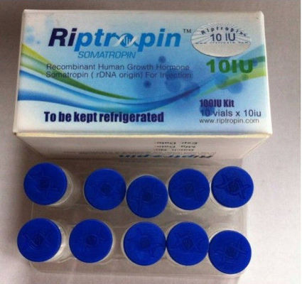 Peptide Riptropin 100iu/kit dell'ormone umano della crescita per il grande muscolo nel trasporto sicuro