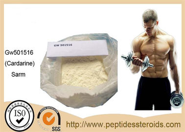 Steroidi di guadagno Gw501516 Cardarine di Sarms di culturismo del muscolo di forma fisica per resistenza e l'ustione grassa