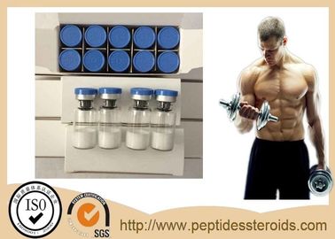 Gli steroidi Ipamorelin 2mg/Vial del peptide di Ipamorelin hanno liofilizzato il peptide iniettabile della polvere