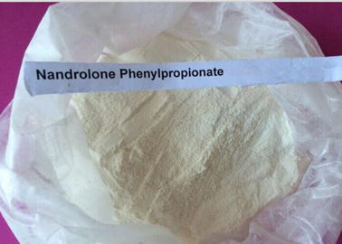 Steroide delle nandrolone della polvere/nandrolone bianchi Phenylpropionate CAS 62-90-8 di Durabolin