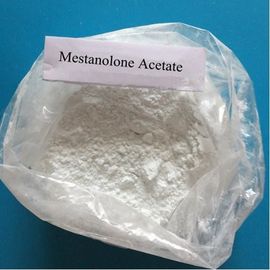 Testosterone CAS steroide 521-11-9 della polvere di Mestanolone del muscolo di guadagno di 99%