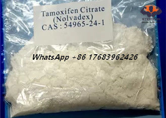Polvere cristallina bianca degli steroidi dello stampo dell'estrogeno del citrato di tamoxifene di CAS 54965-24-1 Nolvadex
